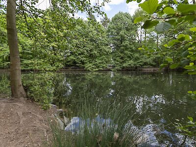 Foto: Teich im Ostpark