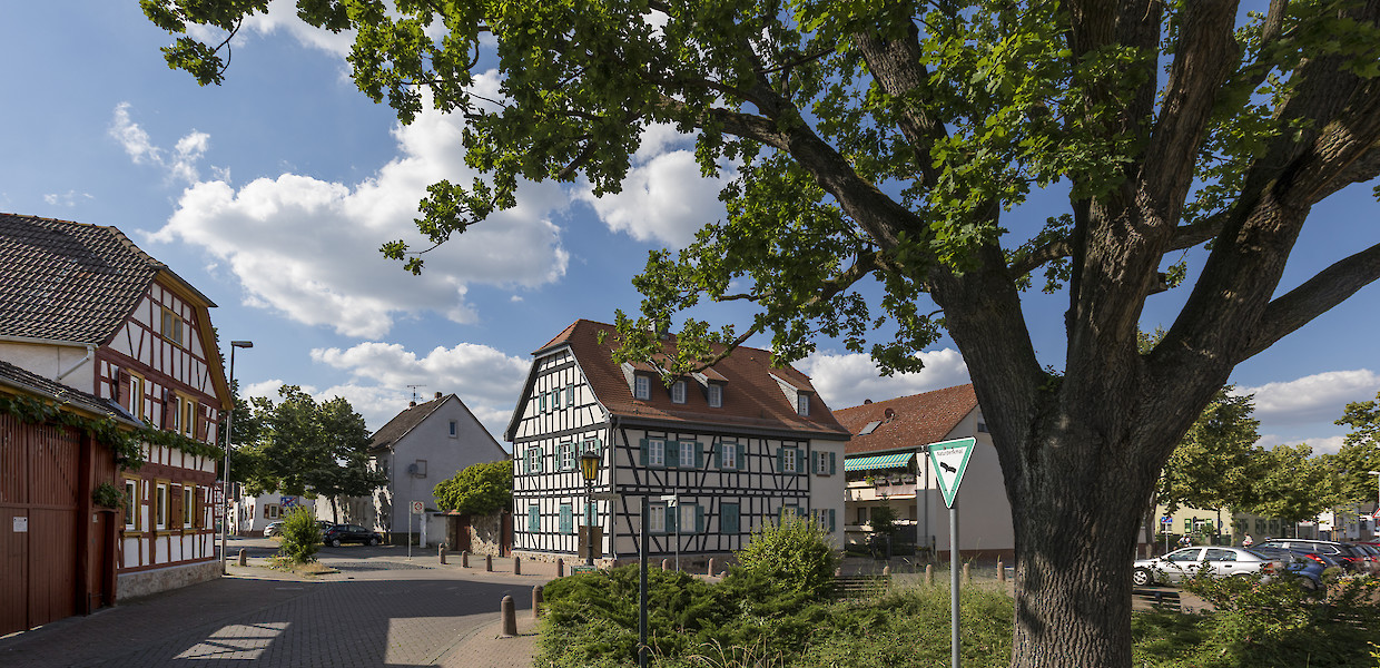 Historischer Ortskern von Königstädten - Fachwerkhäuser am Bismarckplatz und eine alte Eiche