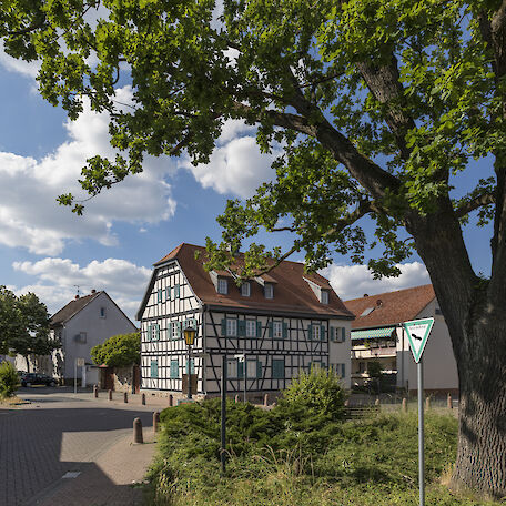 Historischer Ortskern von Königstädten - Fachwerkhäuser am Bismarckplatz und eine alte Eiche