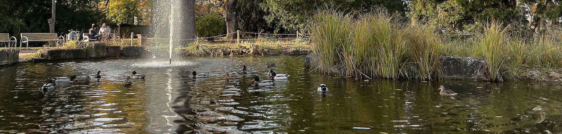 Teich im Verna-Park mit Enten und Wasserfontäne. 2 Frauen sitzen auf einer Bank.
