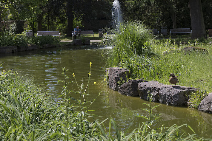 Teich im Verna-Park