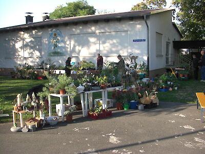 Anbieter mit Pflanzenauswahl, im Hintergrund das Vereinshaus