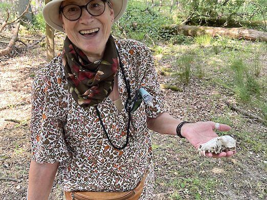 Wilma hält ihr Fundstück, einen ausgeblichenen Fuchsschädel, in der Hand. .