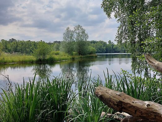Am Ufer angelangt bot sich eine tolle Aussicht auf den Lindensee.