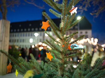 Ein geschmückter Weihnachtsbaum. Im Hintergrund das Rathaus