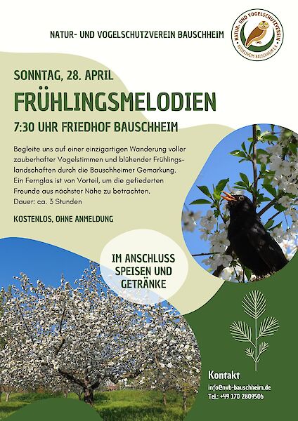 Aufnahme im Seminarraum des NVB-Bauschheim am 03.02.2019 im Schutzgebiet "Im Schacht" Feldgehölz in Bauschheim