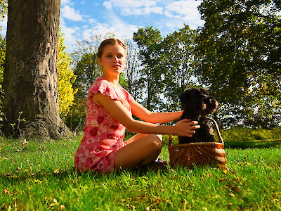 Dorothy und ein kleiner Hund in einem Korb sitzen auf einer Wiese