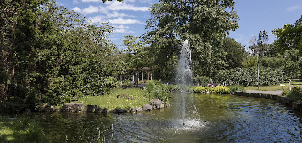 Blick auf den Teich im Vern-Park
