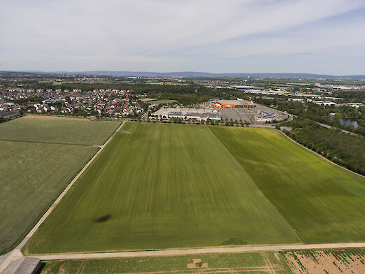 Luftaufnahme der Eselswiese im Februar 2022. Im Vordergrund eine große Ackerfläche. Im Hintergrund der Stadtteil Bauschheim.