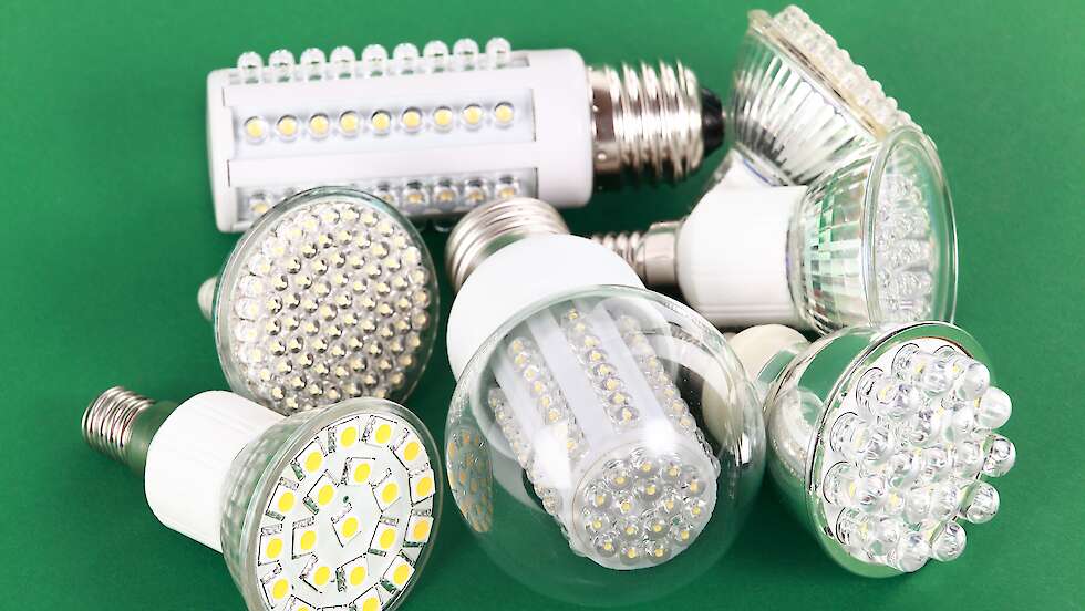 Verschiedene LED-Glühbirnen auf grünem Hintergrund